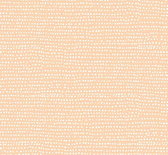 Moonscape - Bellini