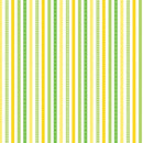 Noah's Journey - Thin Stripe - Citrus