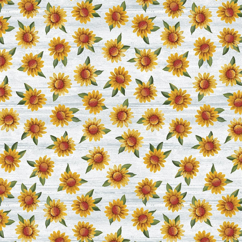 Spring Hill Farm - Sunflowers