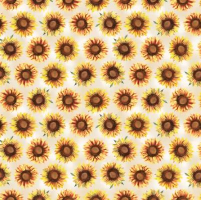 Give Thanks - Sunflowers - Cream