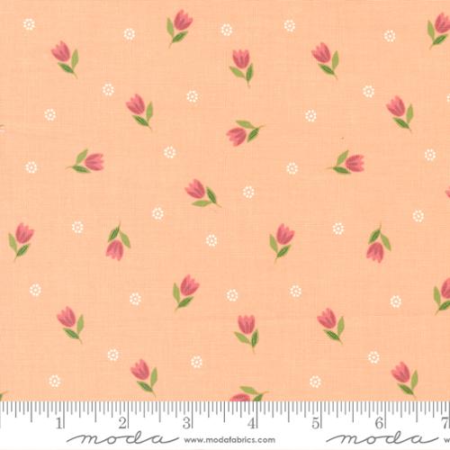 Bountiful Blooms - Tulips -  Peach