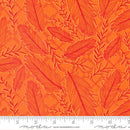 Land of Enchantment - Pluma - Sizzling Sunset