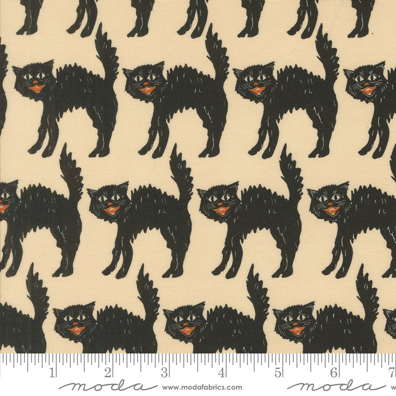 Home Sweet Haunt - Little Black Cat - Bone