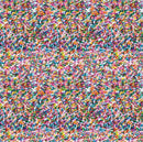 Confetti Fun - Rainbow Sprinkles