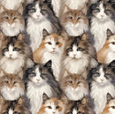 Paw and Whisker - Longhaired Cats