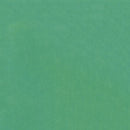 Fresh Solids - Spearmint
