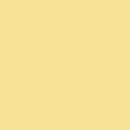 Fresh Solids - Custard