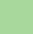 Fresh Solids - Mint Chip
