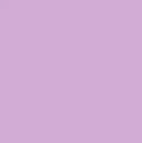 Fresh Solids -  Orchid