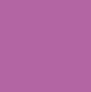 Fresh Solids - Wisteria