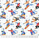 Winter Sports - Snow Boarding