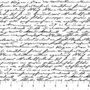 Nature's Sketchbook - Script - Black / White