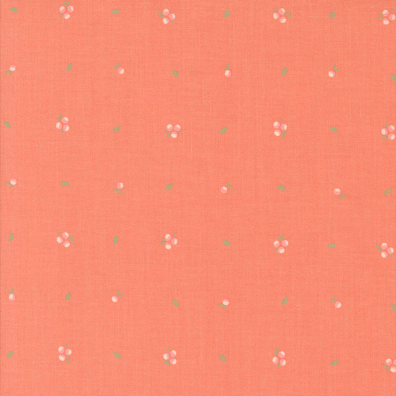 Abloom - Little Sprout - Coral