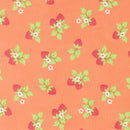 Fruit Salad - Strawberries - Coral