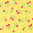 Fruit Salad - Strawberries - Sunshine