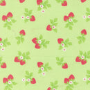 Fruit Salad - Strawberries - Melon