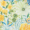 Sunshine and Blue Skies  - Sunny Days - Cloud