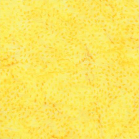 Splendor Batiks - Seeds - Butter