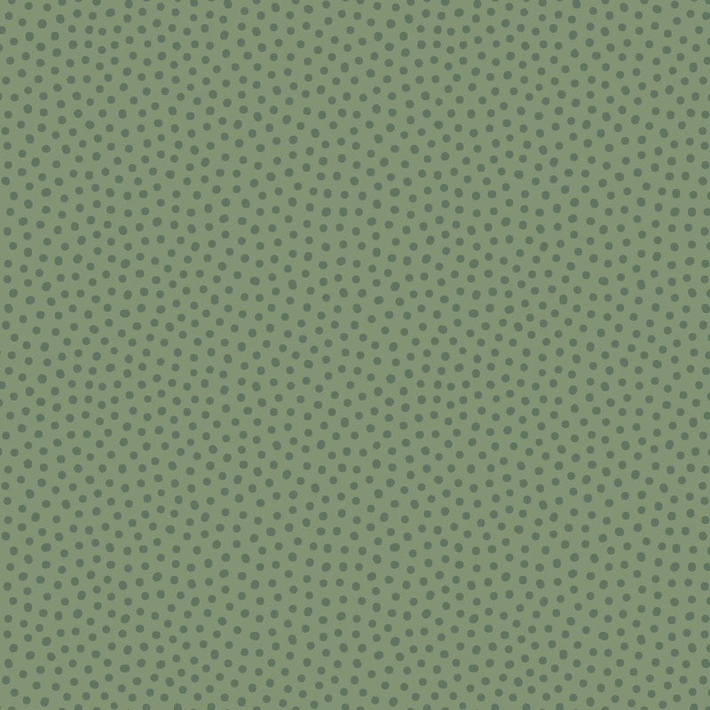 Petits Points -  Succulent