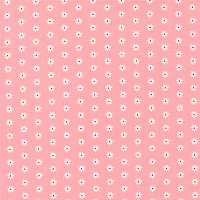 Berry Basket - Daisy Dot - Strawberry