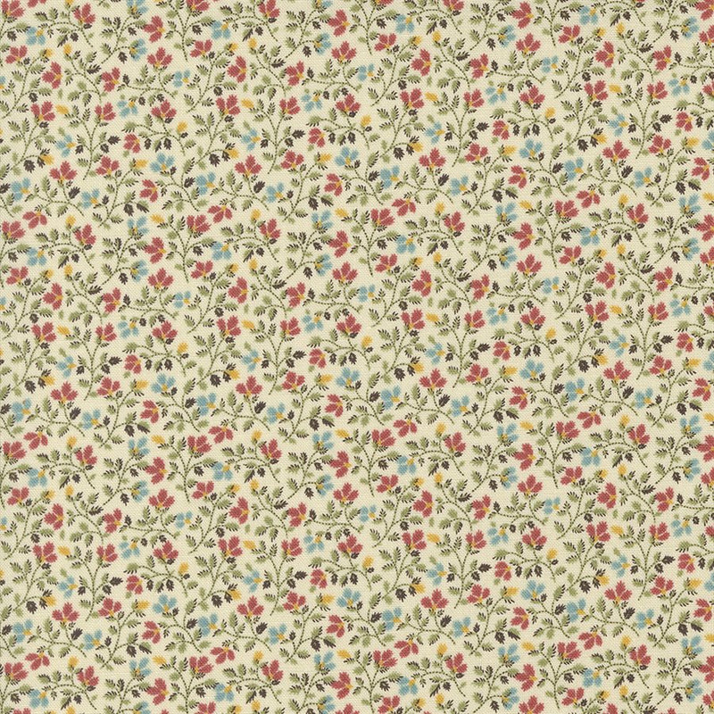 Dinah's Delight - Anemone - Sweet Milk