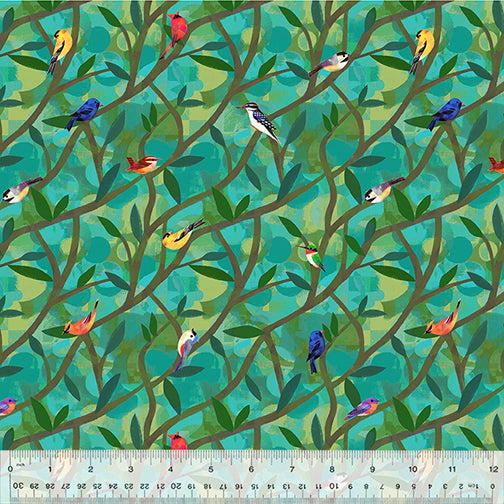 Wild North - North American Birds - Teal