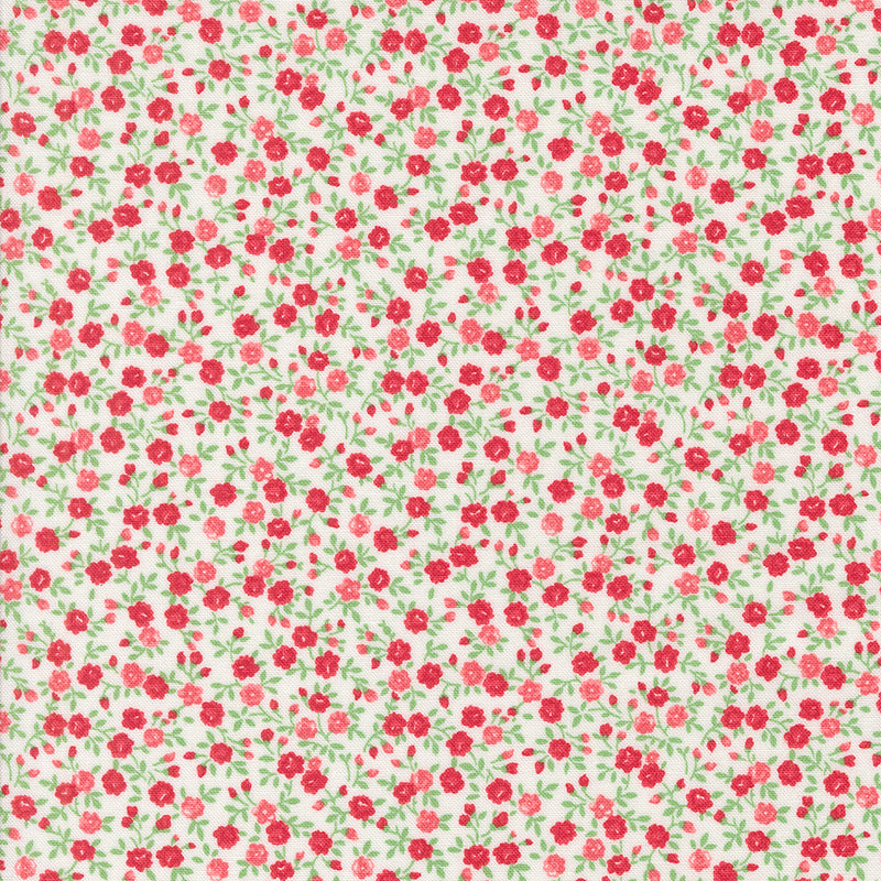 Summertime - Bloom - Cream