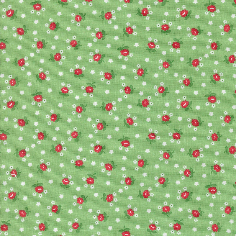 Summertime - Fairground - Green