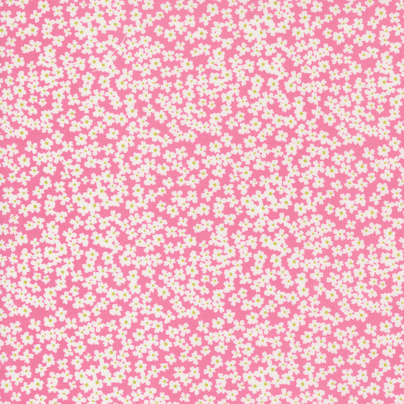 Shine - Ditsy Floral - Lollipop