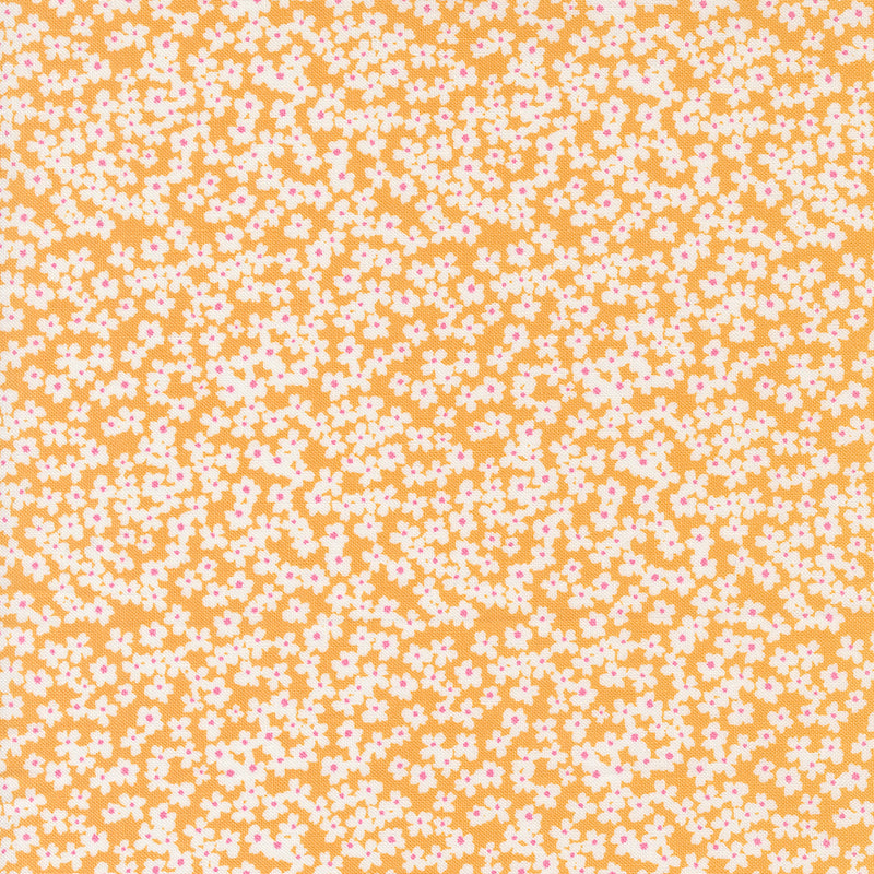 Shine - Ditsy Floral - Orangesicle