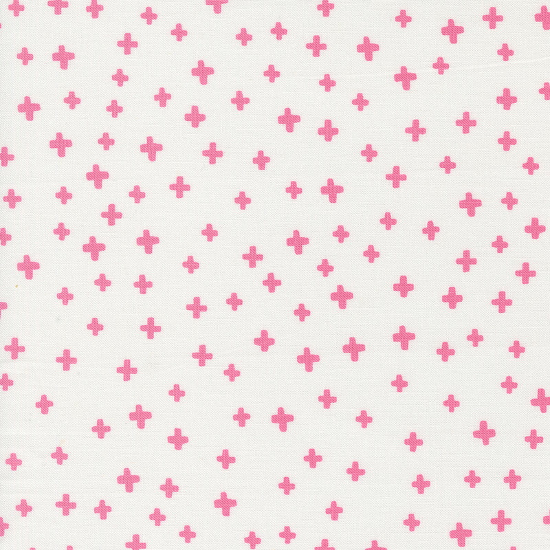 Shine - Plus Signs - Lollipop