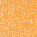 Shine - Hearts - Creamsicle