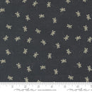 Bloom and Grow - Bee Toss - Tan on Black