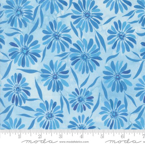 Sunshine and Blue Skies  - Daisy - Sky