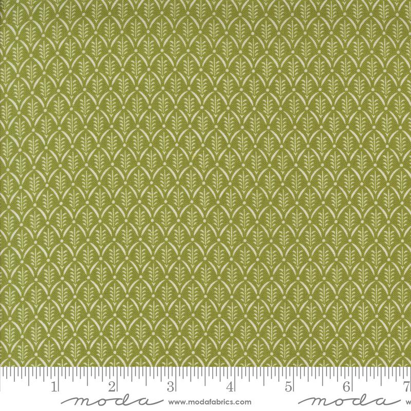 Buon Natale - Evergreen - Pine