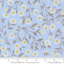 Sun Drenched - Daisy Chain - Sky