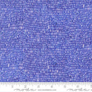 Delphinium -Palette Blenders - Agapanthus