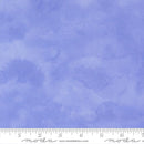 Delphinium - Watercolour - Bluebell