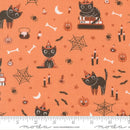 Purrs and Boos - Main - Pumpkin