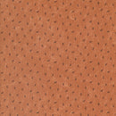 Daisy Lane -  Rosebuds - Tiger Lily