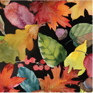 Gather Together - Hidden Forest - Black