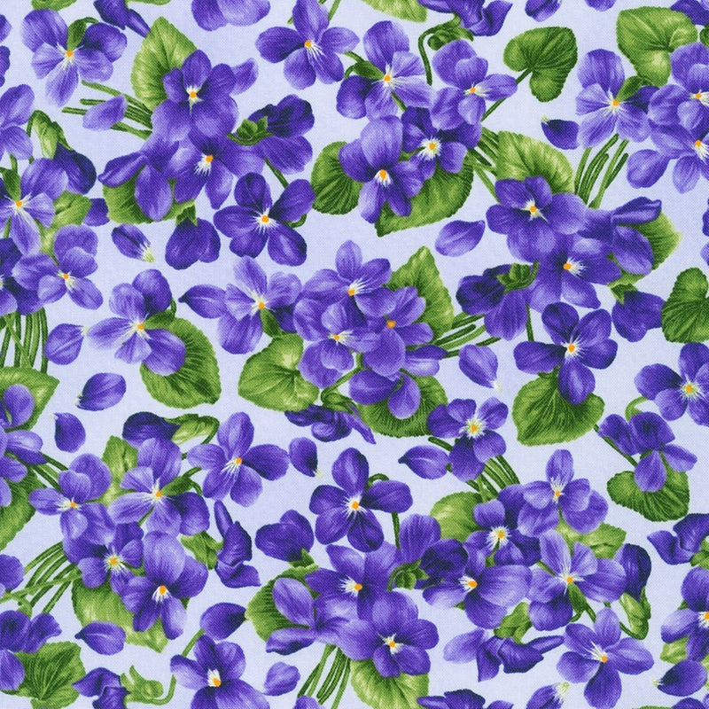 Viola - Violets - Lavender