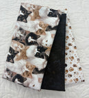 3 Metre Bundle - Paw and Whisker - Cats