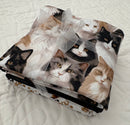 3 Metre Bundle - Paw and Whisker - Cats