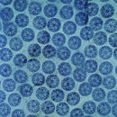Batik by Mirah - Dream Droplets - Lake