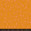 Picture Book - Chips - Turmeric