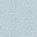 Beyond the Sea - Sand Dollars - Sky