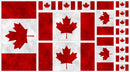 Canadianisms -  Panel