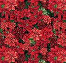 Joy to the World - Poinsettias
