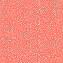 Happiest Dots - Bloom